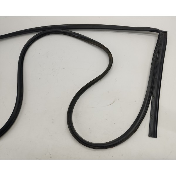 Borracha Fixa Porta T.e Nissan Sentra 2.0 2011