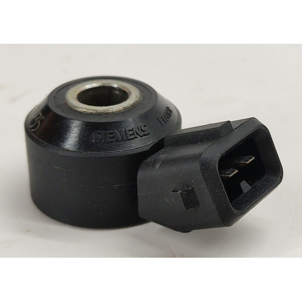 Sensor Detonação Nissan Sentra 2.0 2011