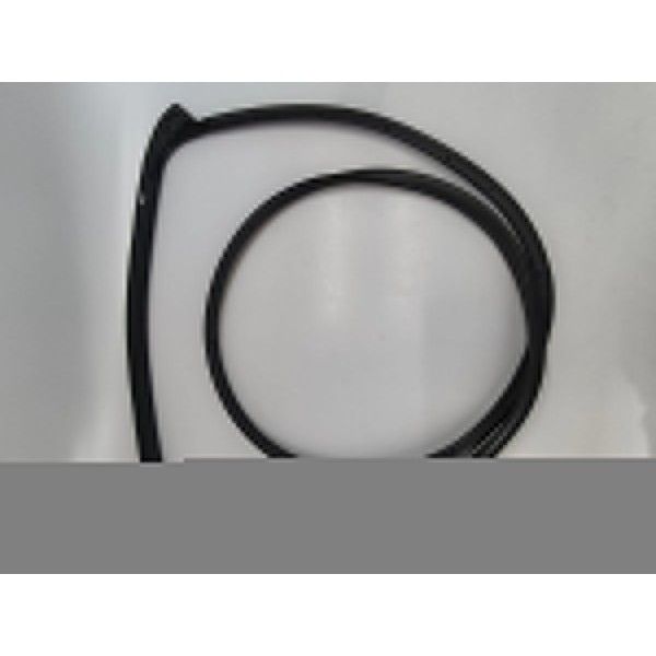 Borracha Fixa Porta T.e Ranger 3.0 V6 2025 Xls